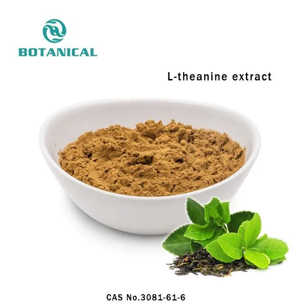 L Theanine Extract