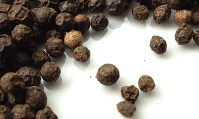 Hur ökar Piperine biotillgängligheten?