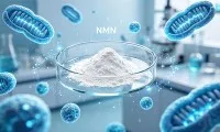 Vilket är bättre för anti-åldring, NAD eller NMN?
